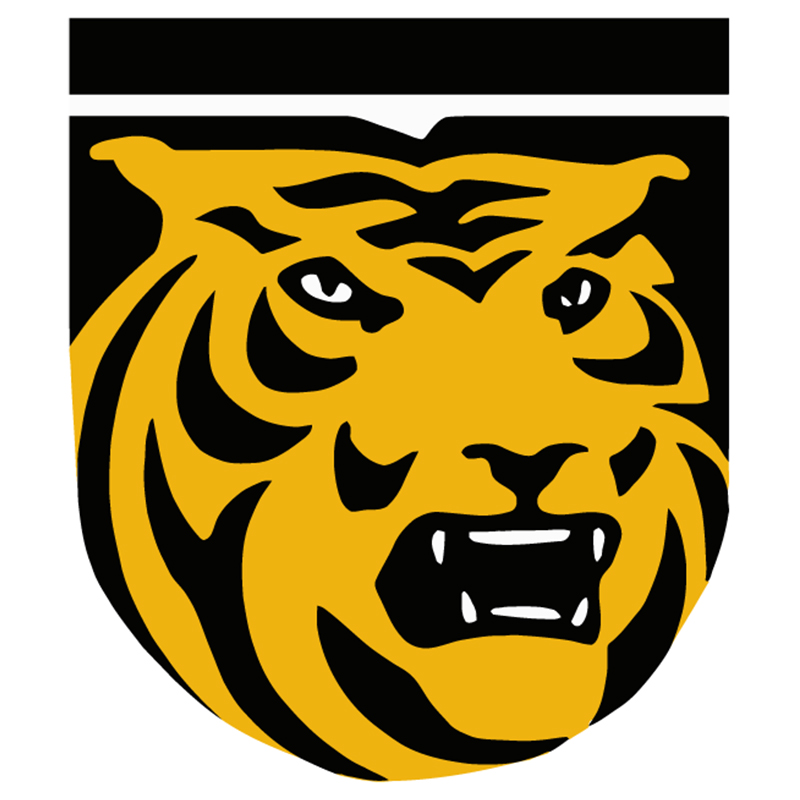 Colorado College Tigers iron ons